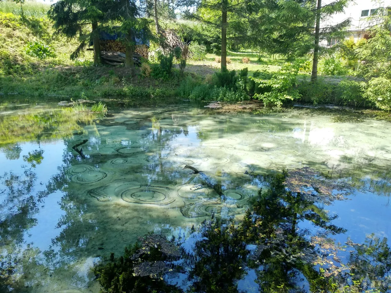 Dłubniański Park Krajobrazowy: Ucieczka z Krakowa. Co zobaczyć?