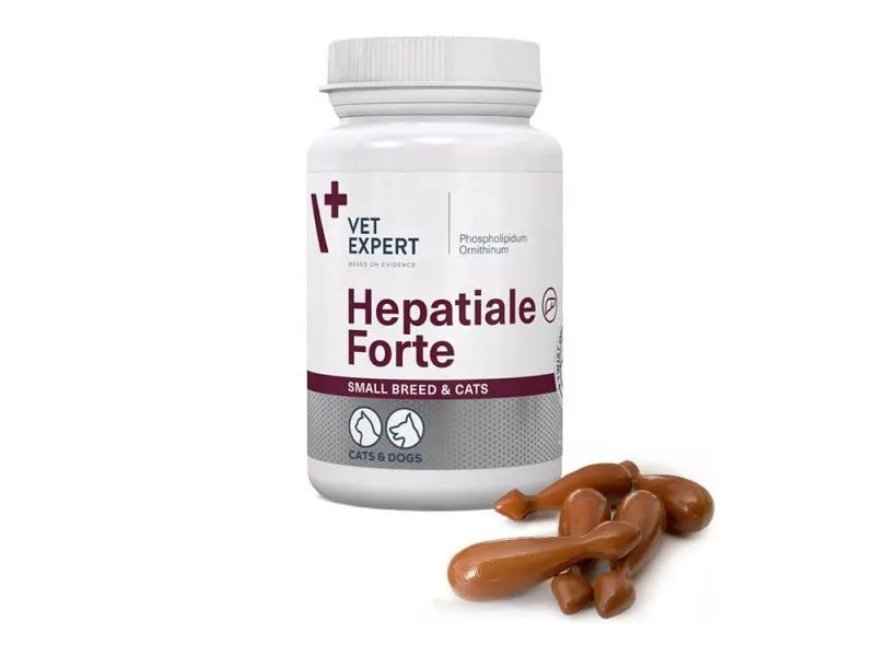 Suplementy dla kota: Kiedy podawać i jak wybrać najlepsze?