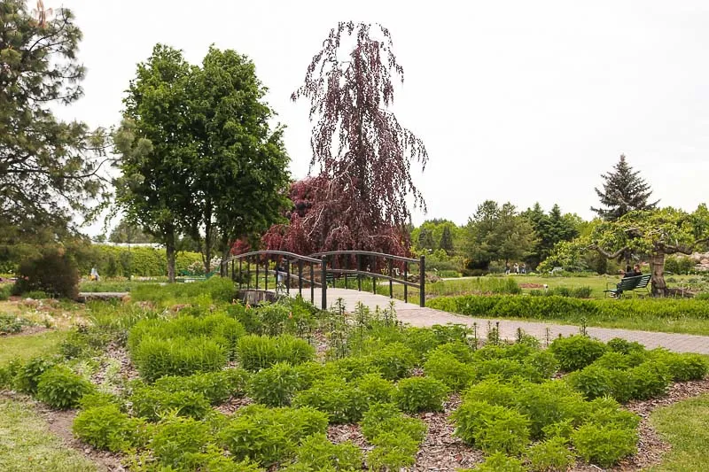 Kiedy najlepiej jechać do Powsina? Sprawdź idealny termin na wycieczkę!