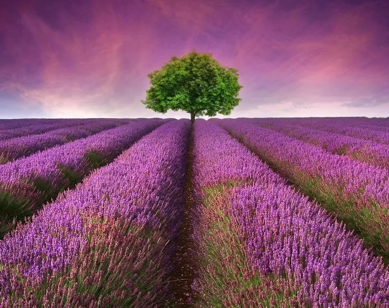 Jakie kraje warto zwiedzić w Europie? Odkryj nieznane skarby podróży