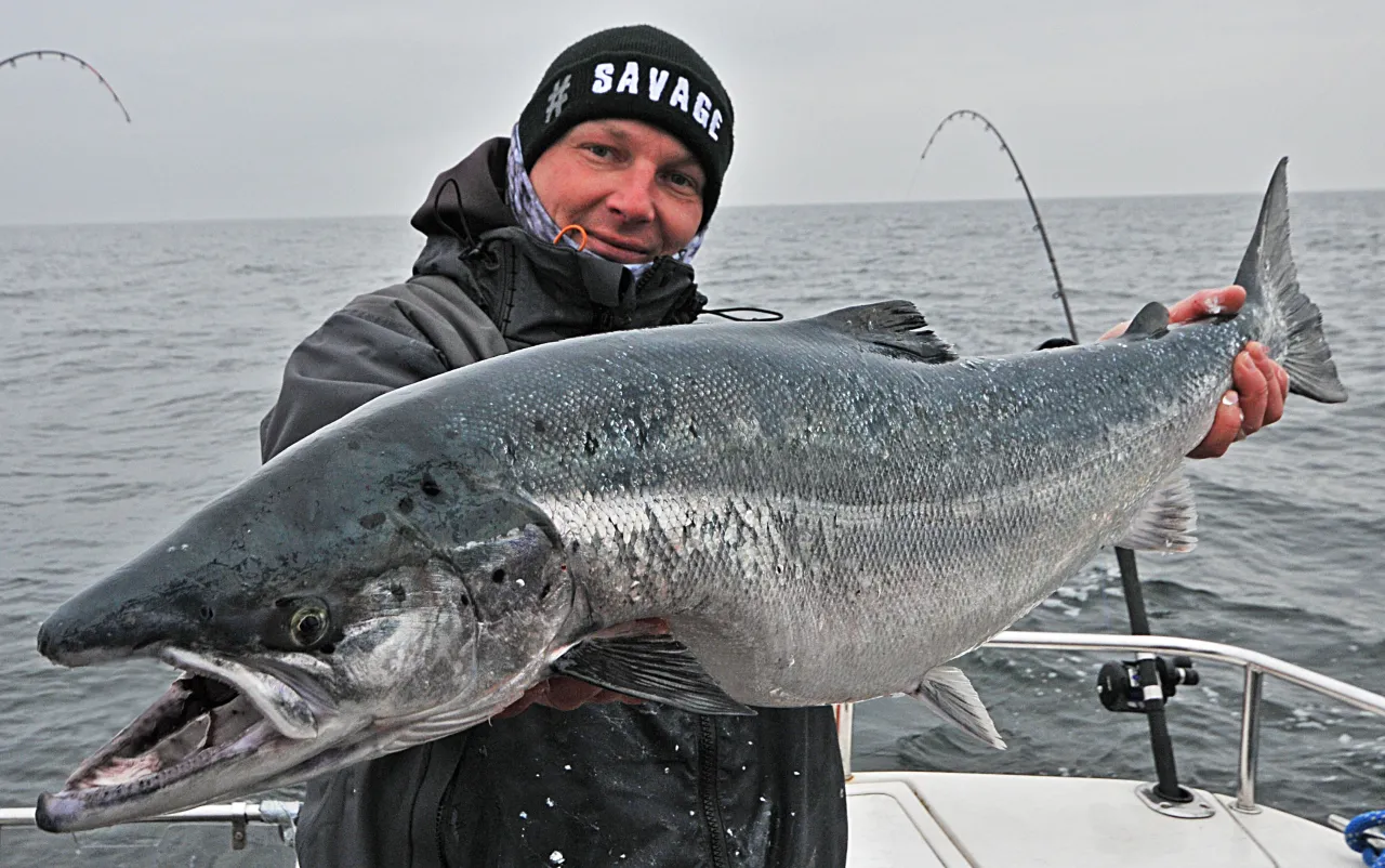 Łosoś w Bałtyku: Czy istnieje i jak go rozpoznać?