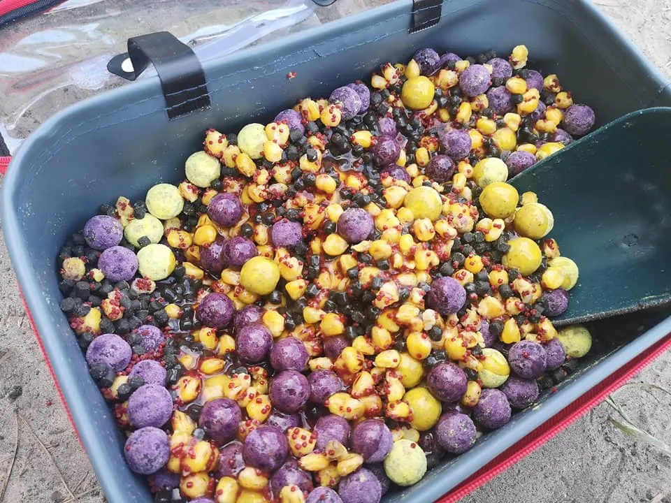 Skuteczna zanęta na karpia: przepisy DIY i gotowe mieszanki