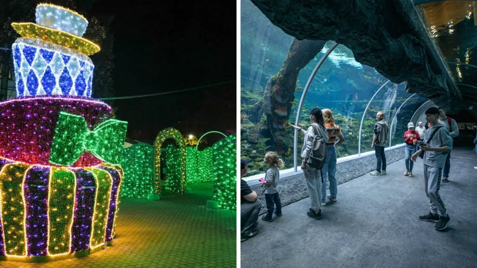 Ile kosztuje bilet do łódzkiego zoo? Ceny, zniżki i porady