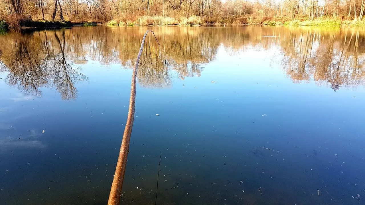 Jak zrobić wędkę z patyka? Prosty poradnik DIY na ryby