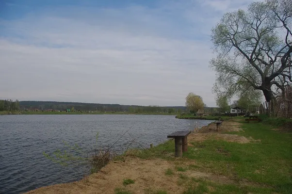 łowisko u Macieja - idealne miejsce na wędkarskie przygody w Mosinie