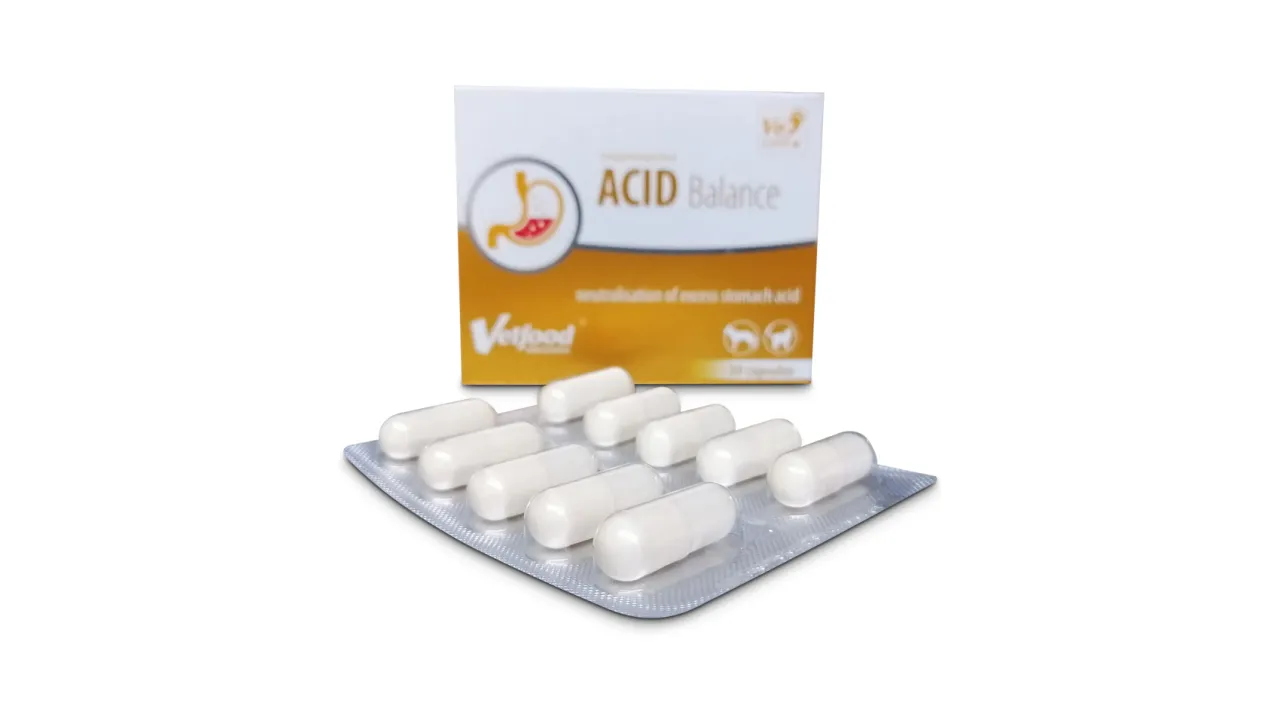 Zakwaszenie u psa? Acid Balance: Rozwiązanie na trawienie i refluks