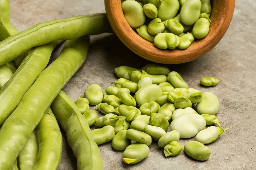 Czy koty mogą jeść bób? Bezpieczne przygotowanie i zdrowe alternatywy