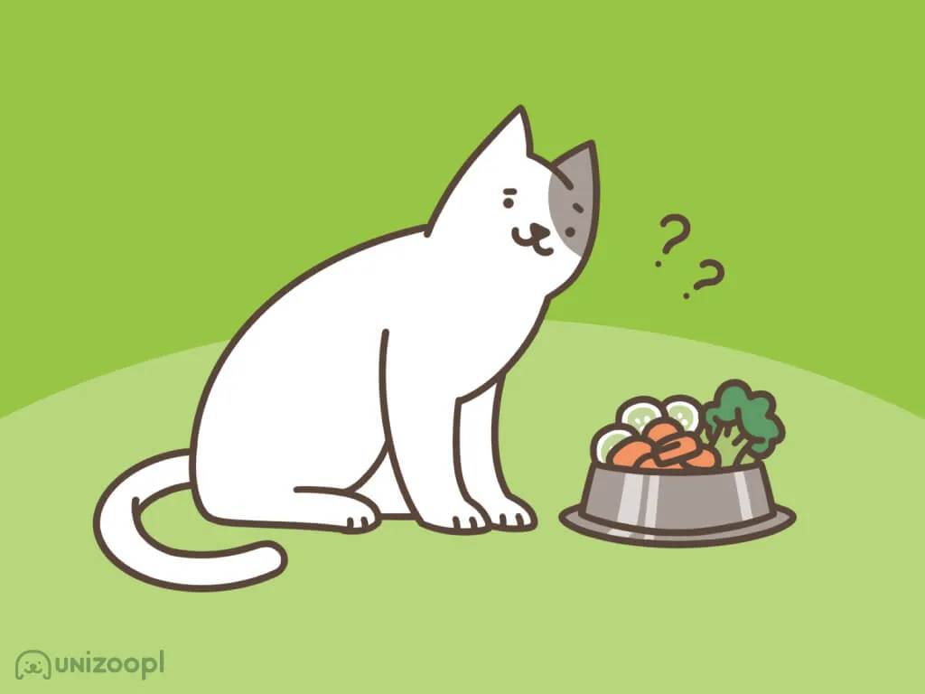 Czy koty mogą jeść grzyby? Dowiedz się o niebezpieczeństwie dla zdrowia