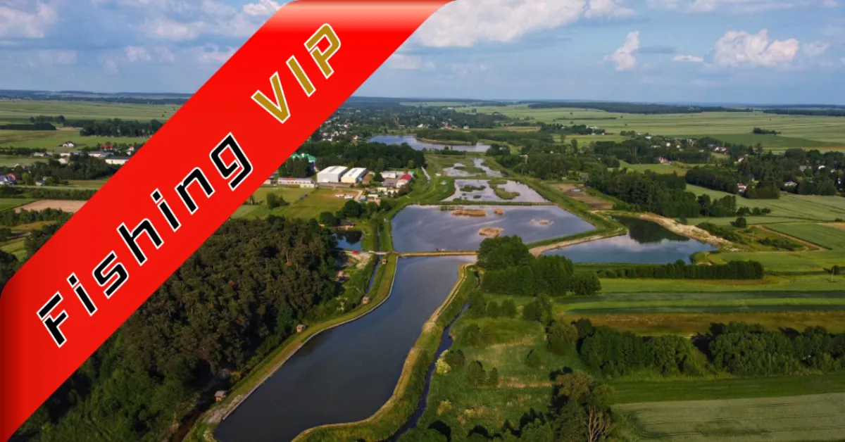 Gdzie można łowić ryby bez karty wędkarskiej w lubelskim? Odkryj najlepsze miejsca