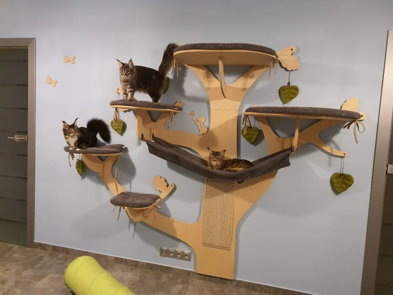 Stwórz idealne drzewko dla kota: proste instrukcje i materiały