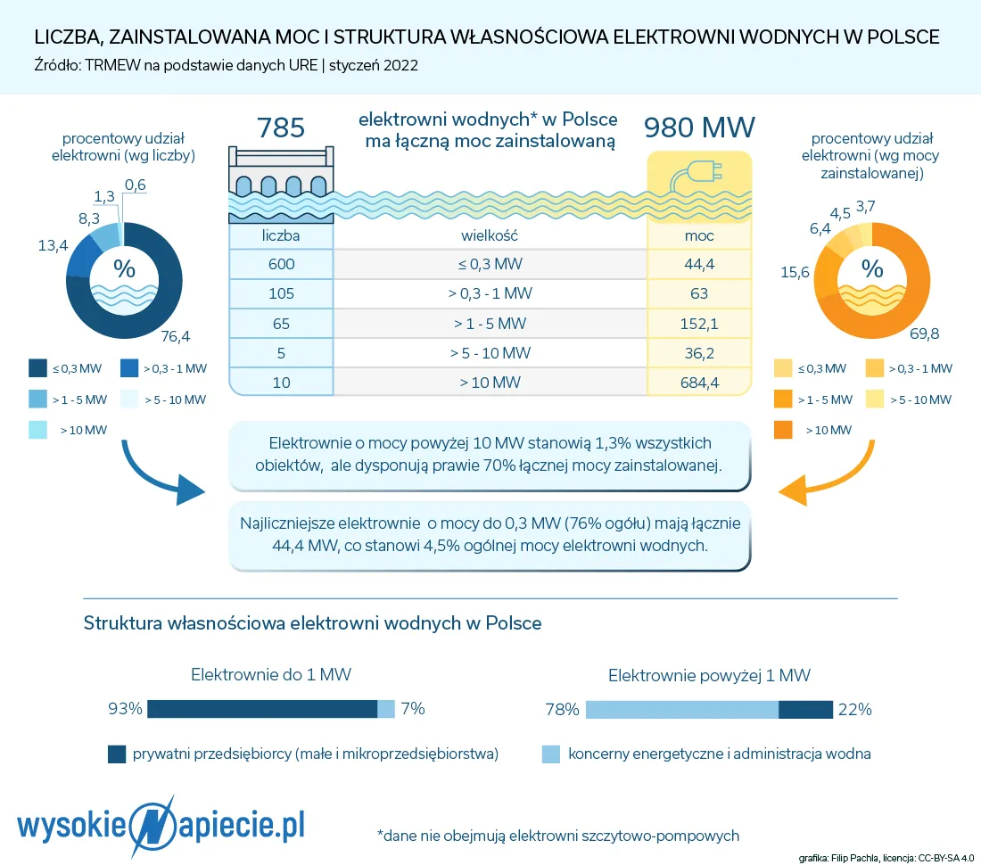 Małe Elektrownie Wodne (MEW): Koszt, Budowa, Opłacalność w Polsce