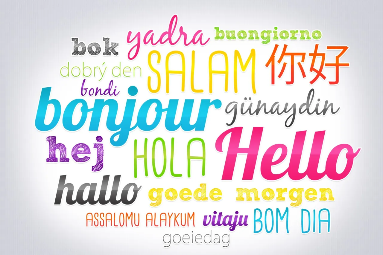 Iglaki po angielsku? Poznaj nazwy, słownictwo i praktyczne zwroty Iglaki po angielsku? Poznaj nazwy, słownictwo i praktyczne zwroty