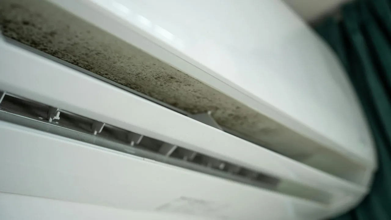 Pianka do klimatyzacji: Czy warto? Skuteczność i ryzyko [Poradnik]