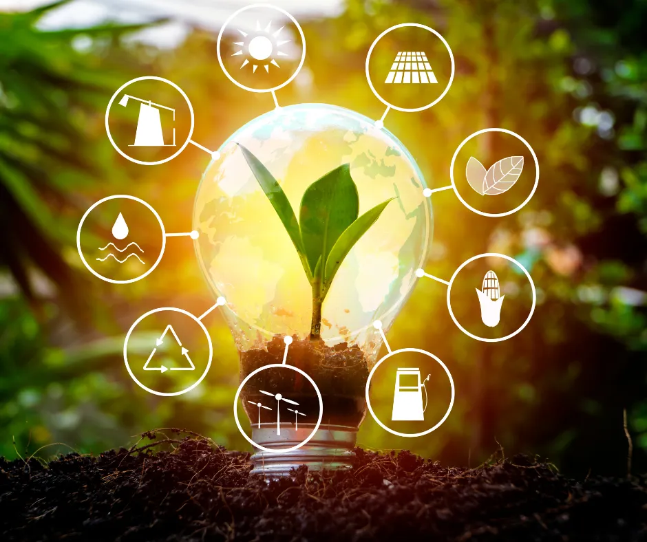 Co to jest opłata zastępcza oze i jak uniknąć wysokich kosztów? Co to jest opłata zastępcza oze i jak uniknąć wysokich kosztów?