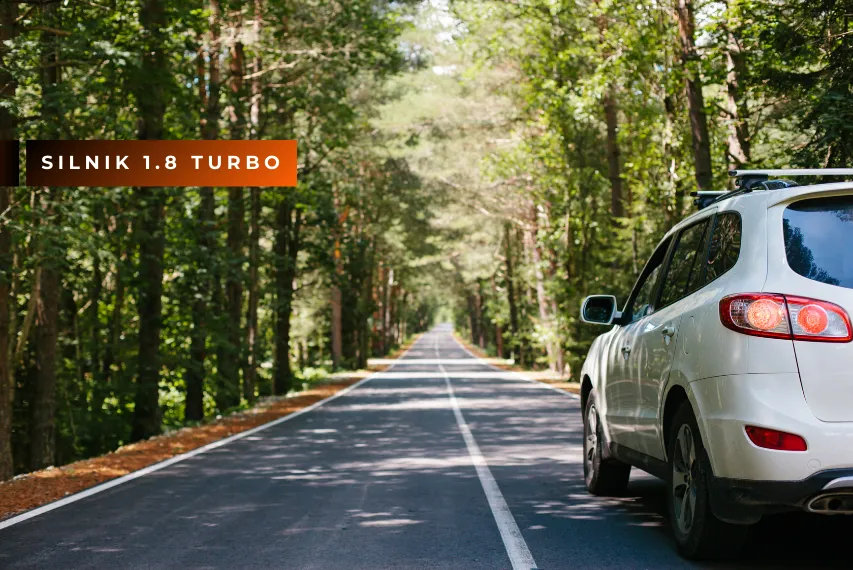 1.8 t ile koni wytrzyma silnik bez modyfikacji i ryzyka uszkodzenia