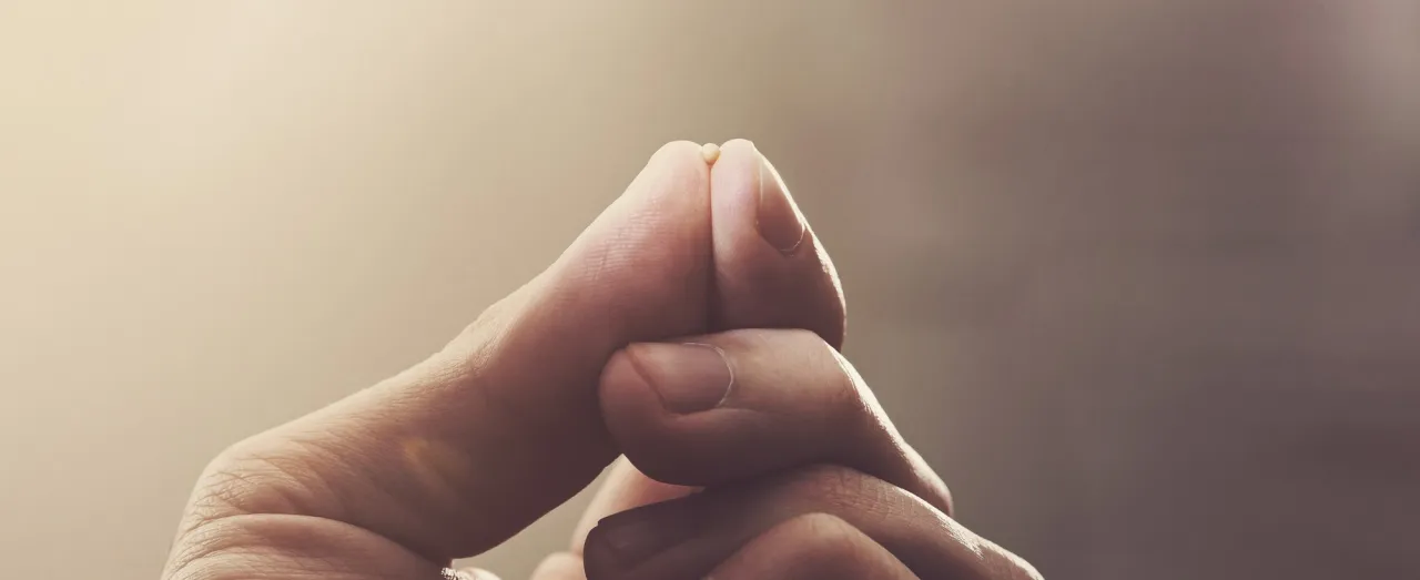 Wiara jak ziarnko gorczycy: jak mała wiara zmienia życie na lepsze