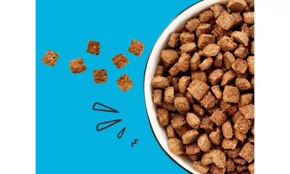 Co można dodać do suchej karmy dla psa, aby poprawić smak i zdrowie?