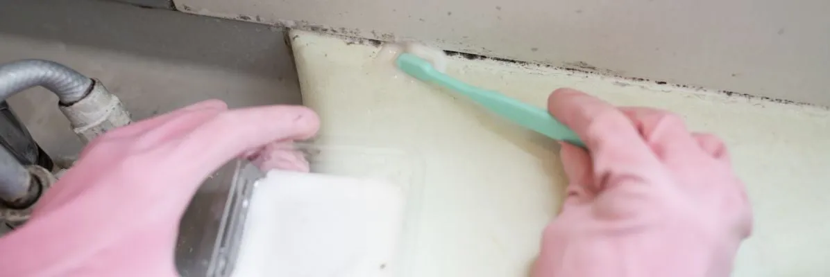 Skuteczne sposoby na grzyb w łazience – jak usunąć pleśń raz na zawsze