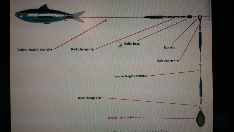 Jak uzbroić martwą rybkę na sandacza, aby nie stracić ryby