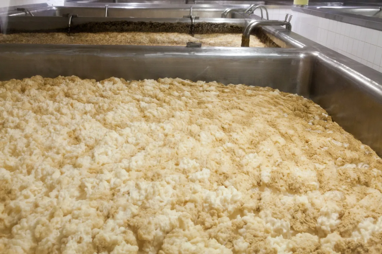 Historia alkoholu: Kiedy i jak odkryto fermentację?