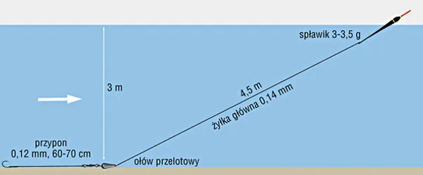 Wędka bolonka do czego służy – skuteczne metody łowienia ryb