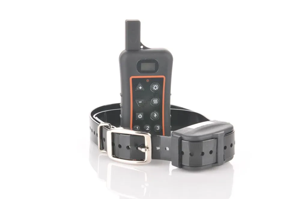 Jak działa obroża elektryczna dla psa i czy jest skuteczna w szkoleniu?