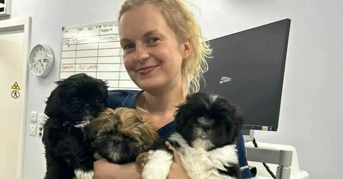 Ile zarabia weterynarz w Anglii? Zaskakujące fakty o wynagrodzeniach