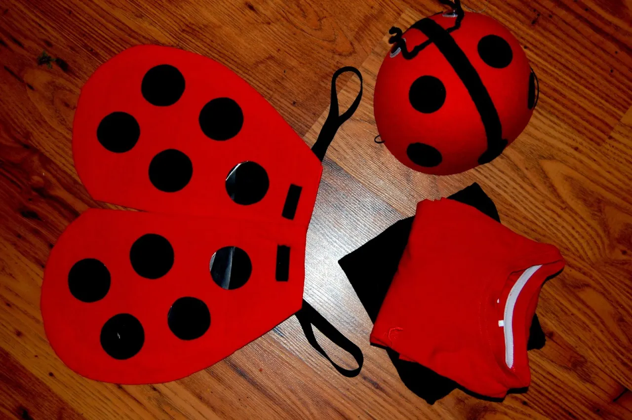 Jak zrobić strój biedronki - krok po kroku dla każdego rodzica