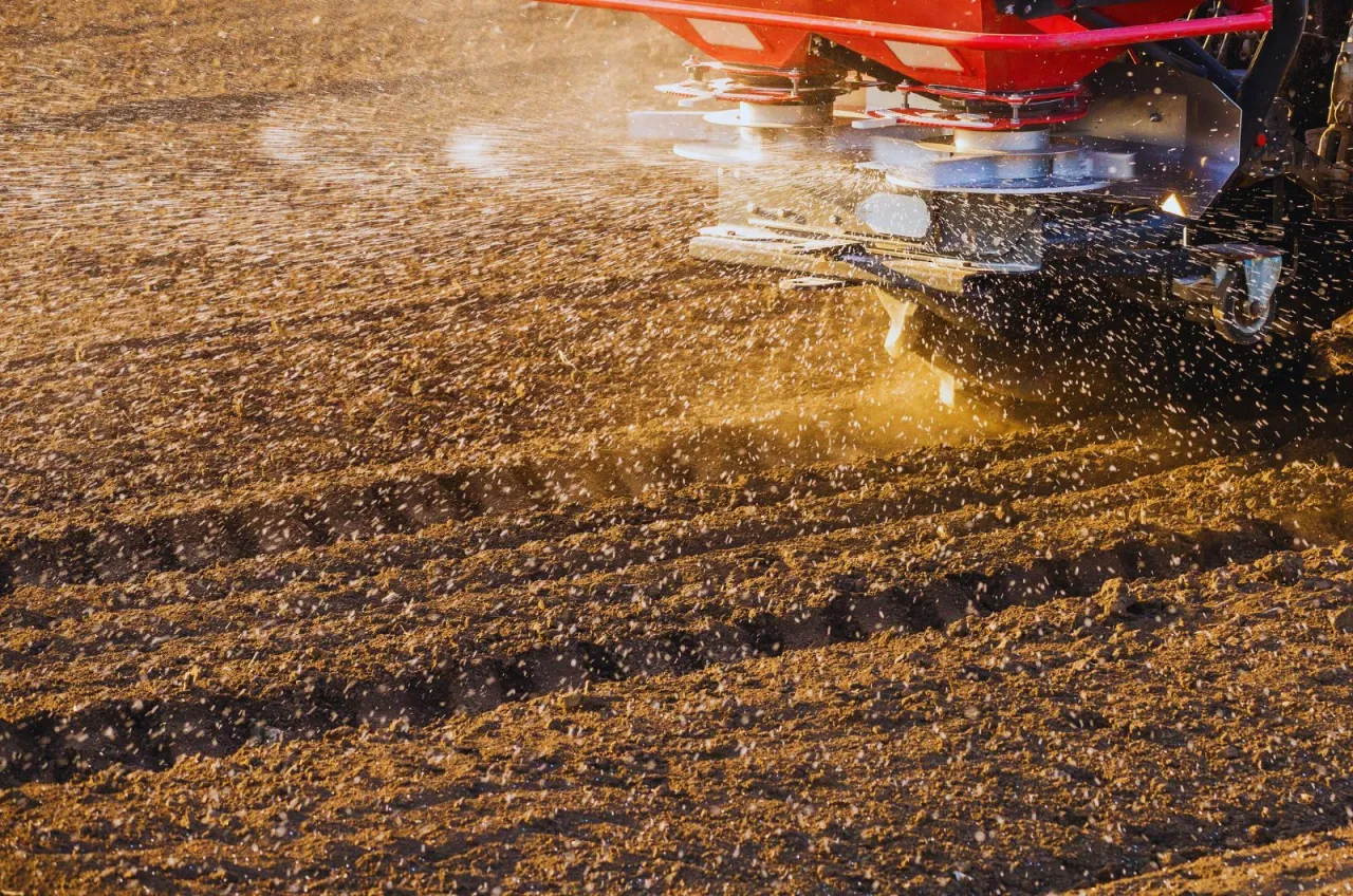 Wybierz najlepsze wapno do ogrodu: rodzaje i zastosowanie na każdą glebę