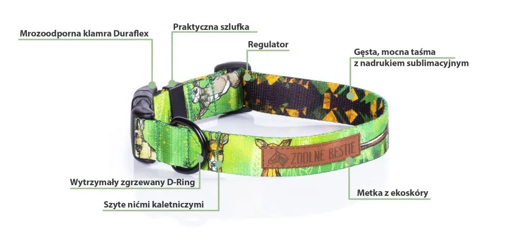 Jak dobrać obrożę uzdową dla psa, aby uniknąć niewłaściwego rozmiaru