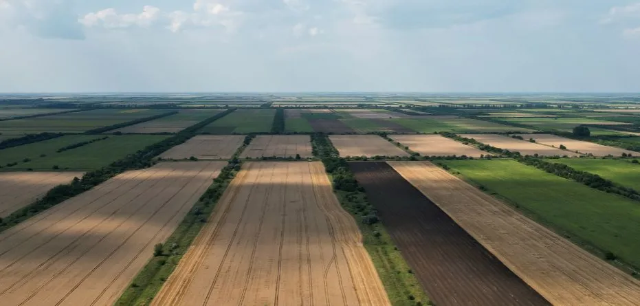 Jaka cena gruntów rolnych? Sprawdź, gdzie są najniższe stawki