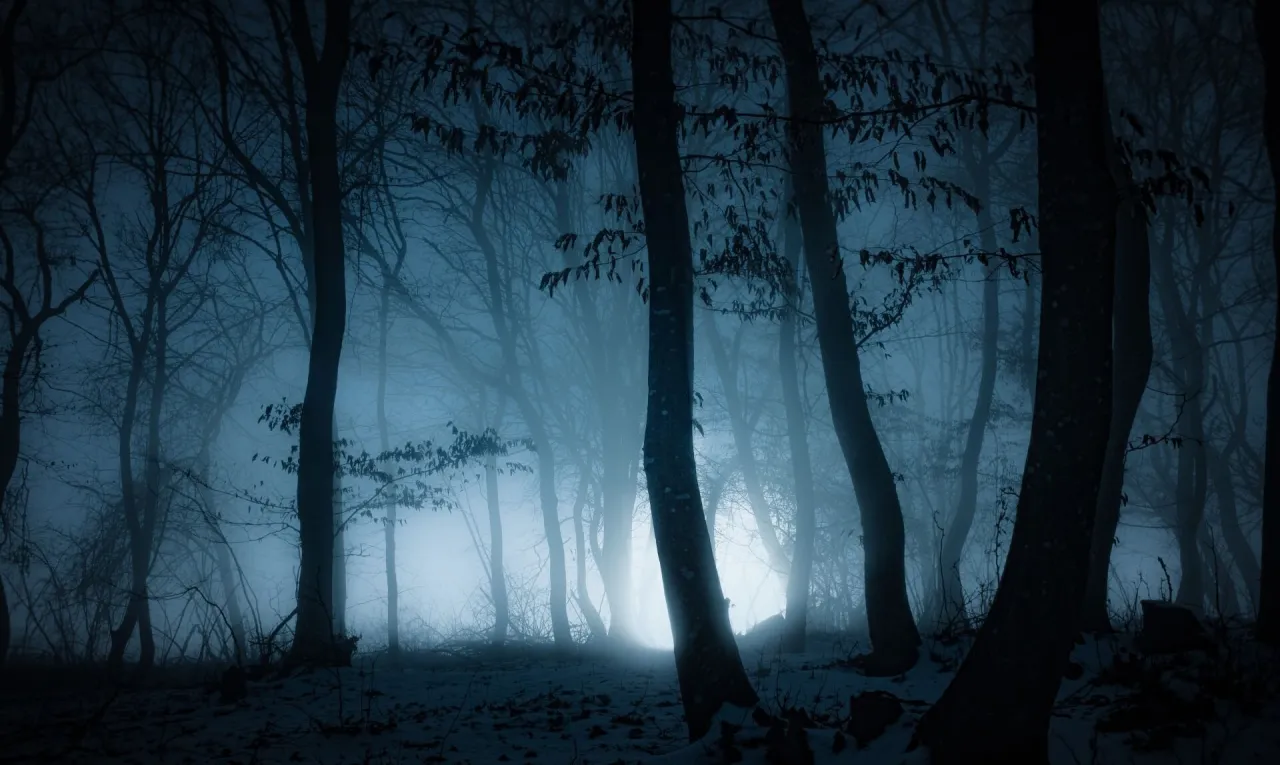 The Forest wymagania: Czy Twój PC jest gotowy na las?