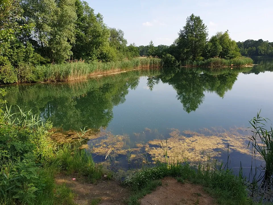Krobielowice łowisko – idealne miejsce na udane wędkowanie i relaks