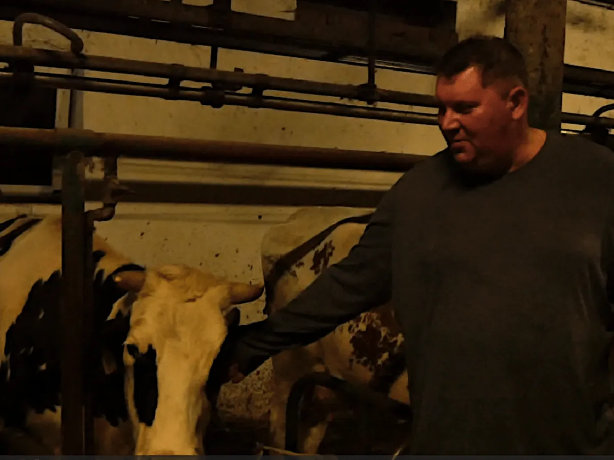 Skuteczny wniosek czyli jak wydoić unijną krowę i uniknąć błędów Skuteczny wniosek czyli jak wydoić unijną krowę i uniknąć błędów