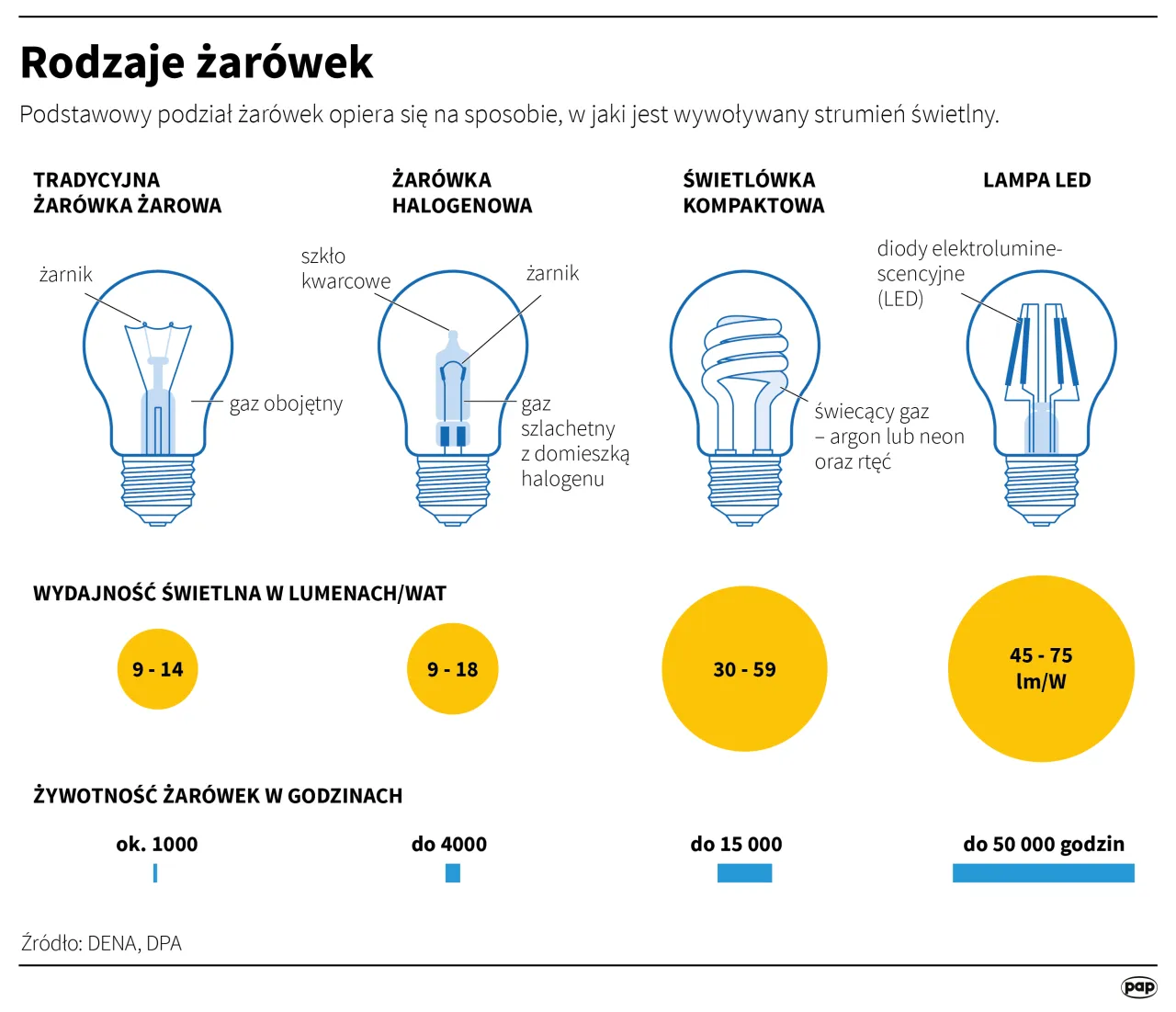 Gdzie wyrzucić żarówki? Rodzaj ma znaczenie! Poradnik eksperta