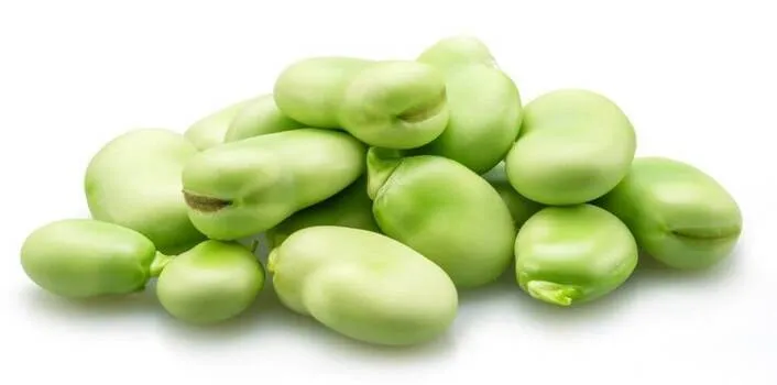 Czy bób uczula? Sprawdź, czy może być niebezpieczny dla zdrowia