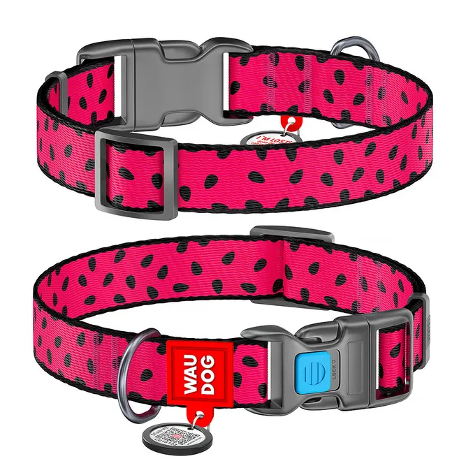 Jaką obrożę dla labradora wybrać, aby zapewnić mu komfort i bezpieczeństwo?