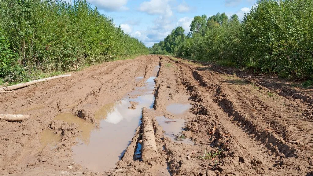 Sen o błocie co oznacza? Odkryj jego ukryte znaczenie i symbolikę