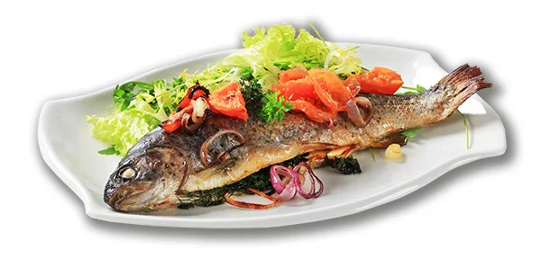 Gdzie zjeść w Ojcowie? Najlepsze miejsca na smaczny posiłek