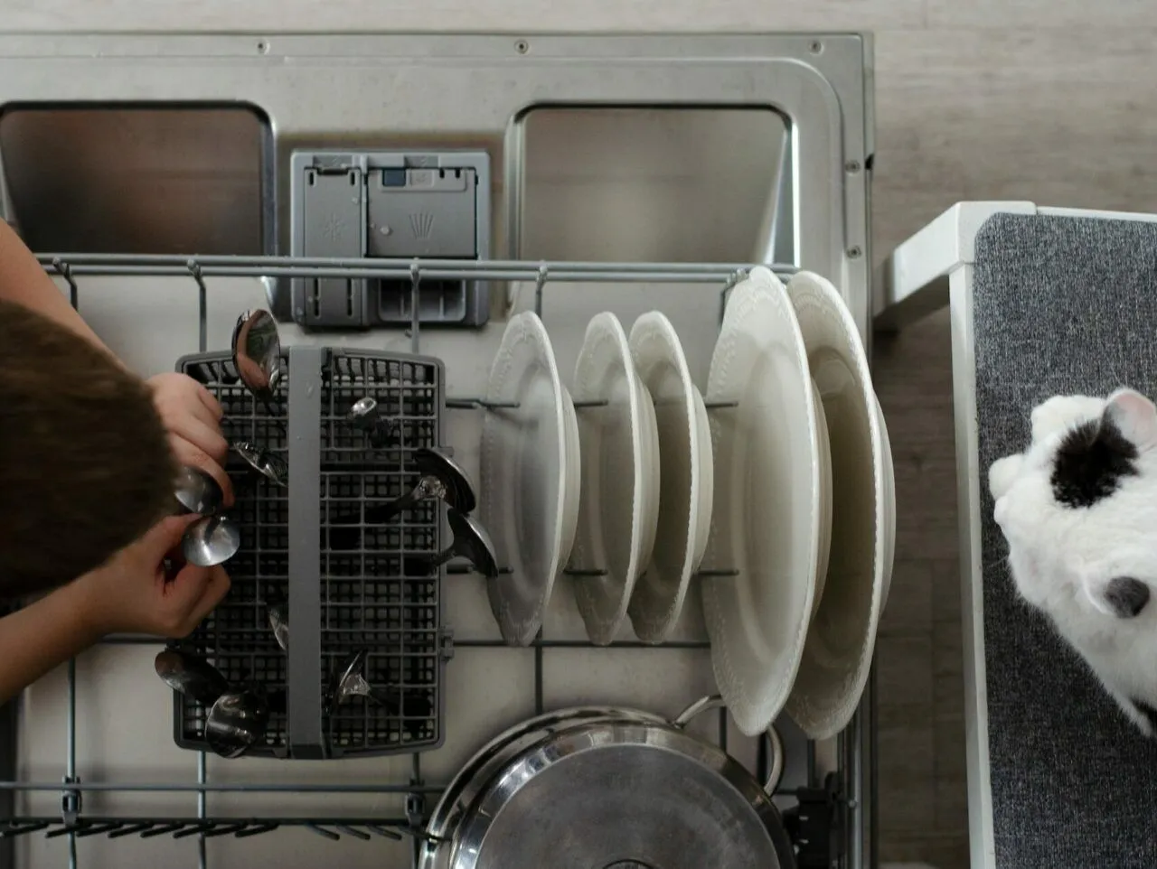 Jaką zmywarkę wolnostojącą wybrać, aby uniknąć rozczarowania? Jaką zmywarkę wolnostojącą wybrać, aby uniknąć rozczarowania?