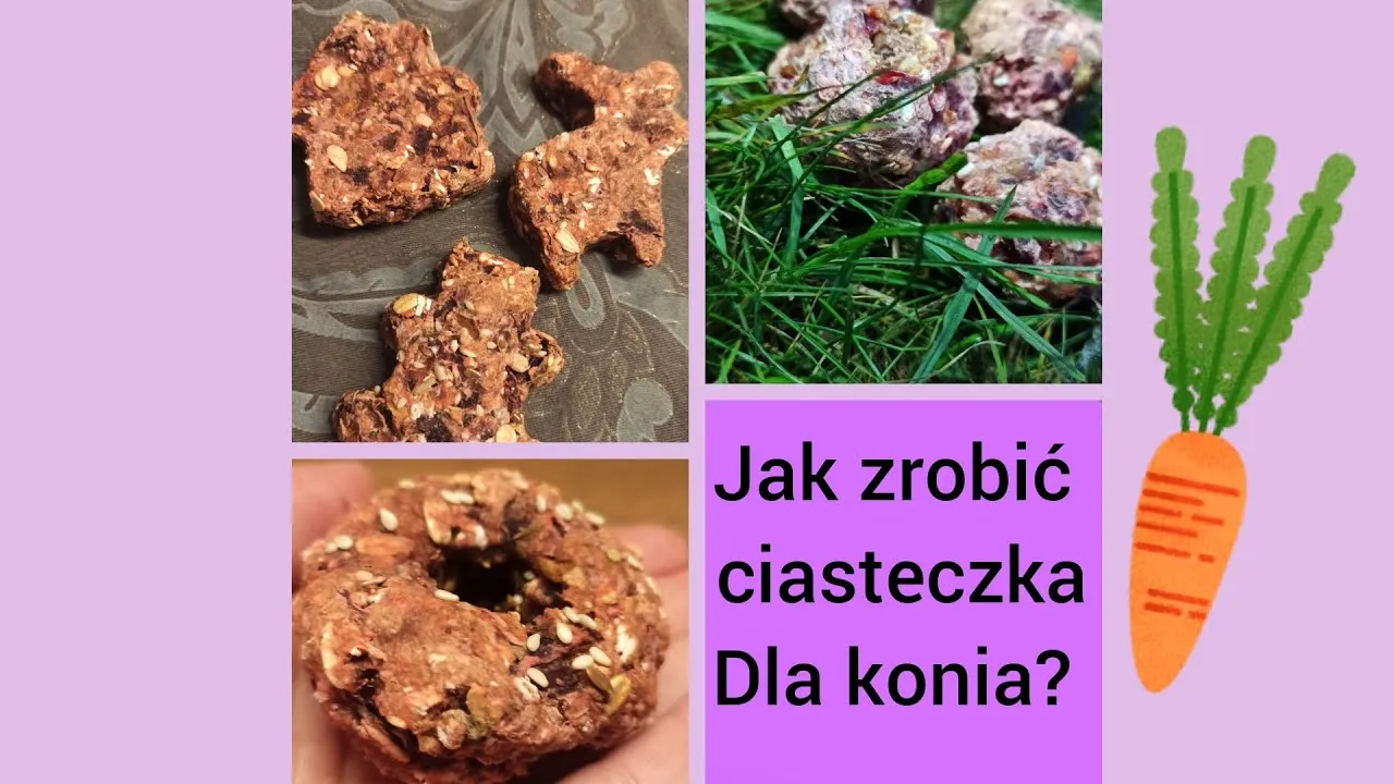 Jak zrobić ciastka dla koni - prosta receptura na zdrowe smakołyki