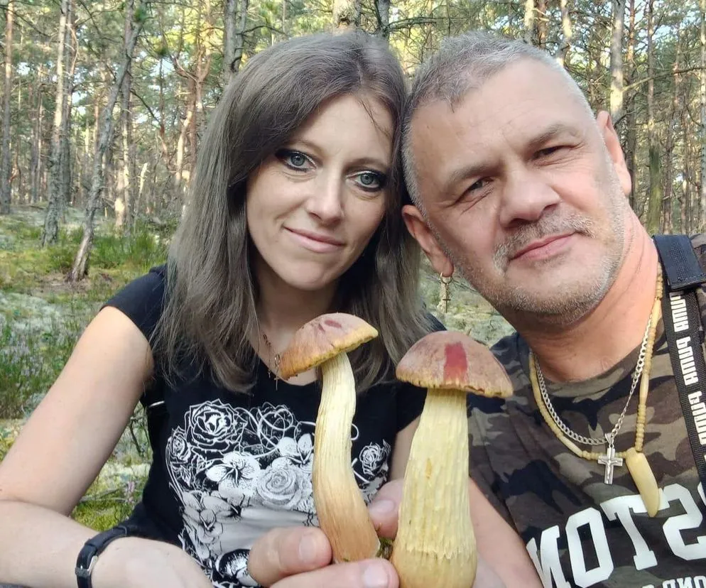 Świętokrzyskie: Gdzie na grzyby? TOP miejscówki i sekrety udanych zbiorów!