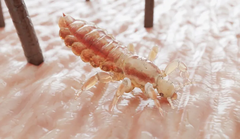 Czy leki na robaki są na receptę? Sprawdź dostępność i bezpieczeństwo