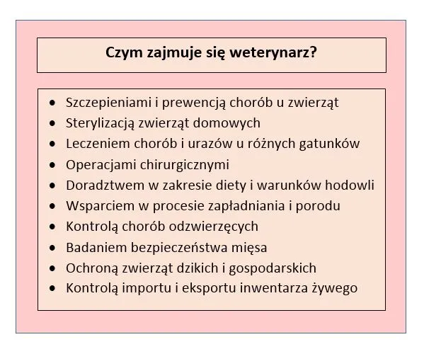 Czym zajmuje się weterynarz? Kluczowe obowiązki i usługi dla zwierząt