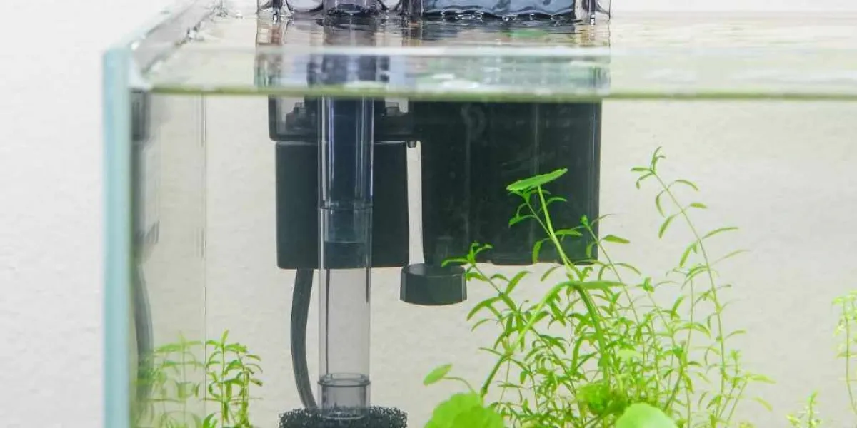 Jak zamontować filtr do akwarium: instrukcja krok po kroku