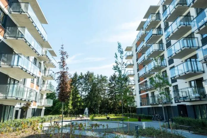 Jak nawiązać współpracę z deweloperem i uniknąć typowych błędów