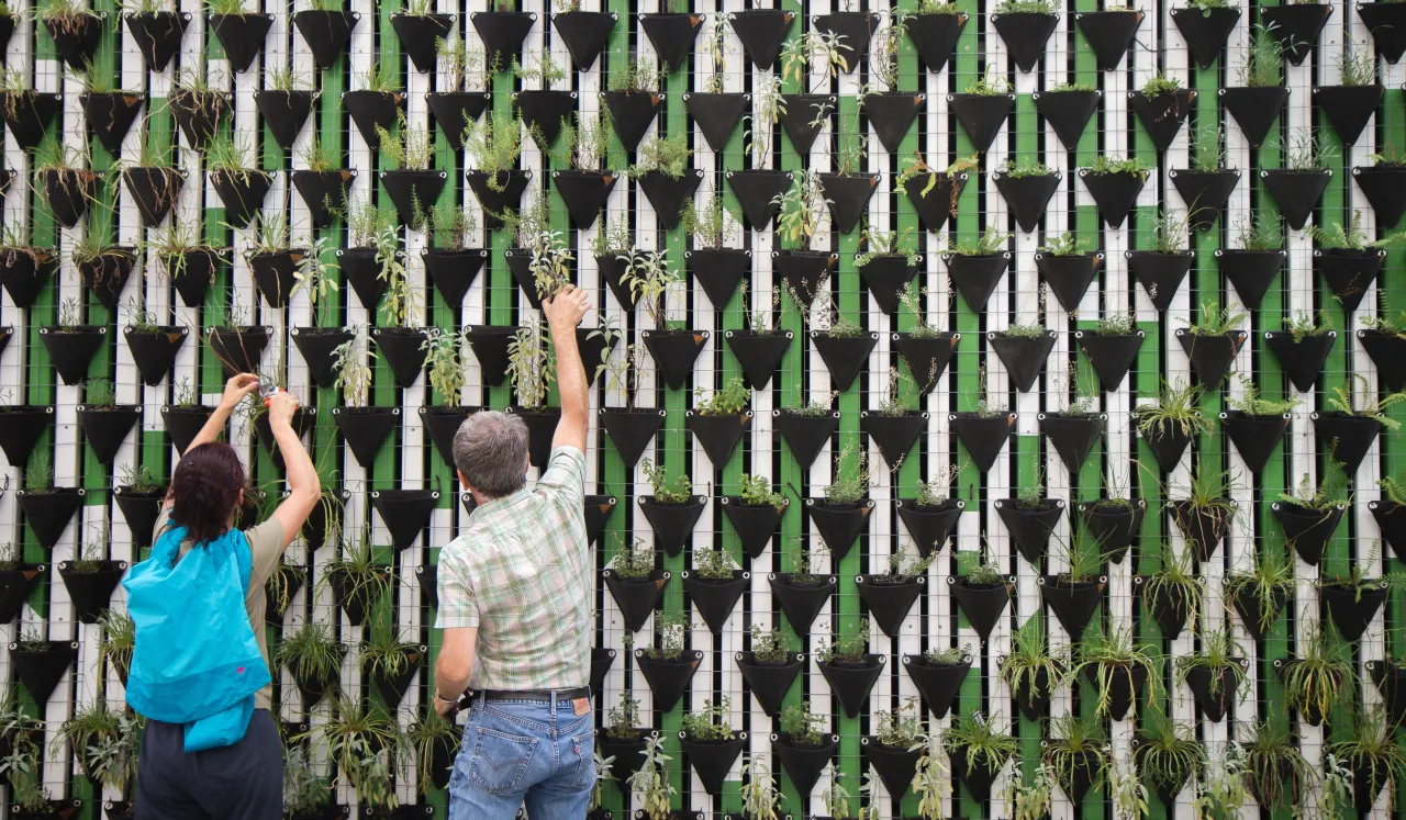 Jak zrobić kwietnik kaskadowy - proste kroki do pięknej zieleni