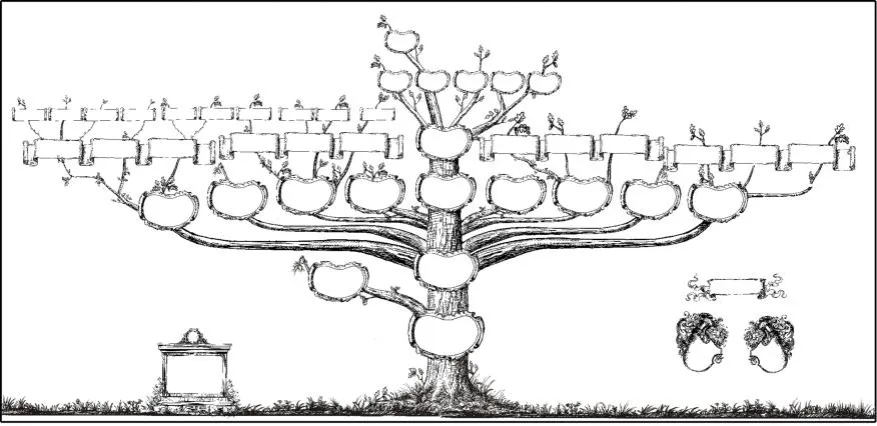 Dziedziczenie ustawowe - Przykłady i Ułamki