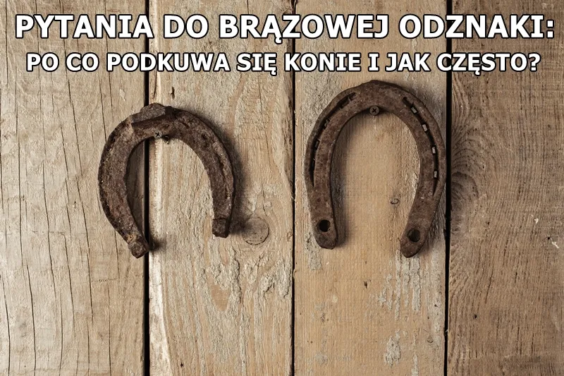 Dlaczego podkuwa się konie? Odkryj kluczowe powody i korzyści