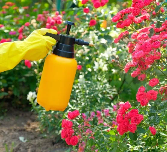 Skuteczne sposoby na pozbycie się kleszczy z ogrodu: poradnik domowy